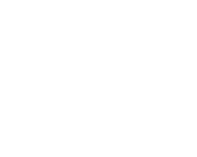 Top Seo Agency in Anaheim